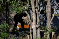 Torsas-Paintball-2024-09-01-27