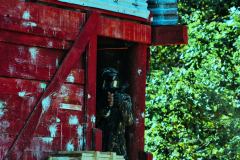 Torsas-Paintball-2024-09-29-1