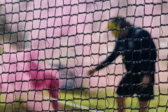 Torsas-Paintball-2025-05-26-9
