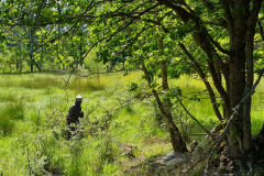 Torsås-Paintball-2019-06-16-Em-7